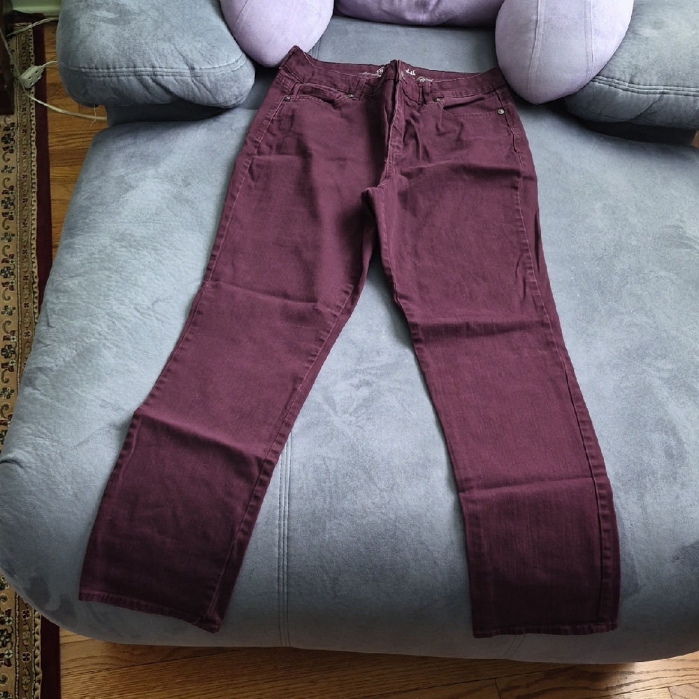 Gloria Vanderbilt Maroon/Burgundy Slim Pants